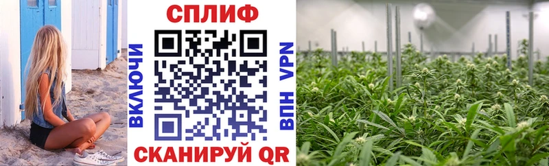 Где продают наркотики Новое Девяткино COCAIN  ЭКСТАЗИ  A PVP  Канабис  Гашиш 
