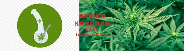 ПСИЛОЦИБИНОВЫЕ ГРИБЫ Абдулино