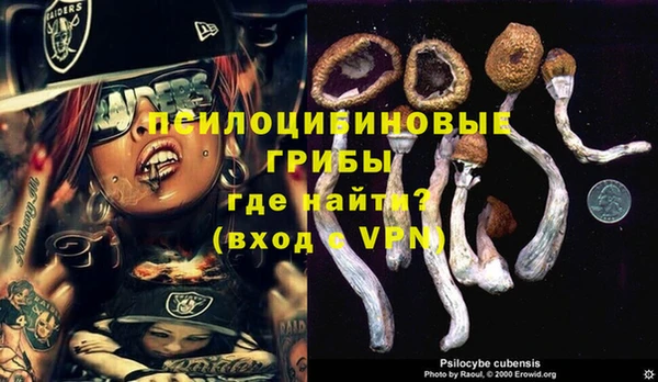 ПСИЛОЦИБИНОВЫЕ ГРИБЫ Абдулино