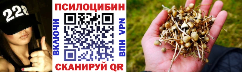 Галлюциногенные грибы Cubensis Новое Девяткино